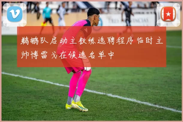 鹈鹕队启动主教练选聘程序临时主帅博雷戈在候选名单中